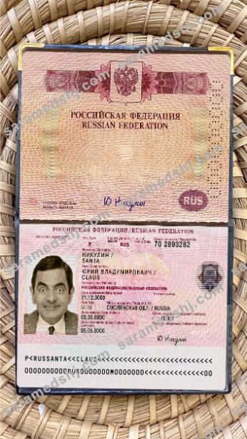 Russia travel passport photo look